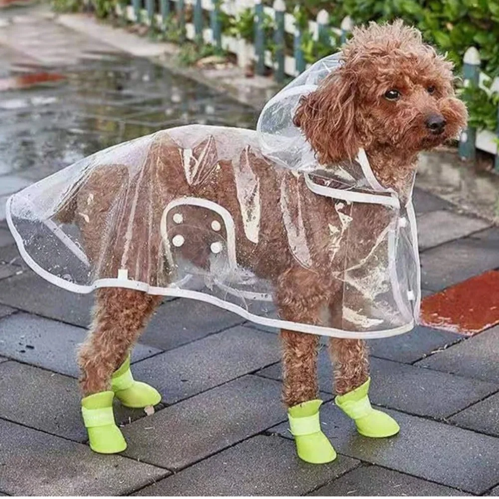 Transparent waterproof raincoat for dogs size XXL
